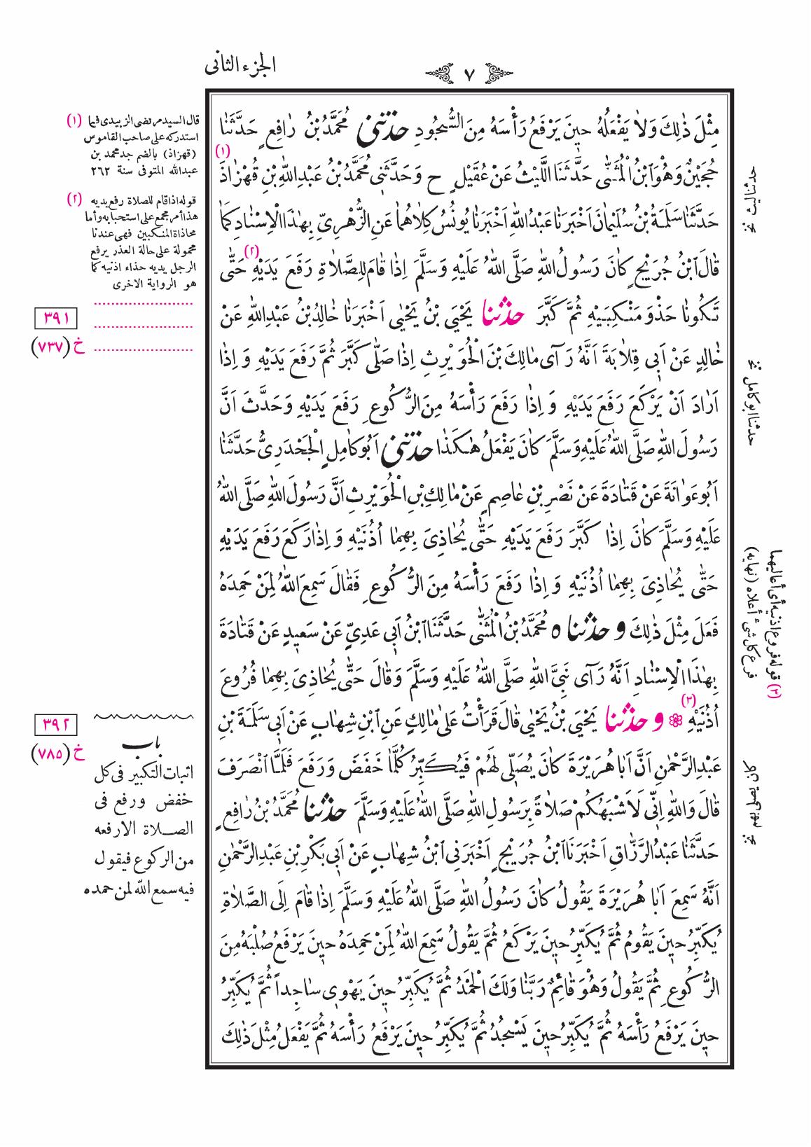 صفحة 7