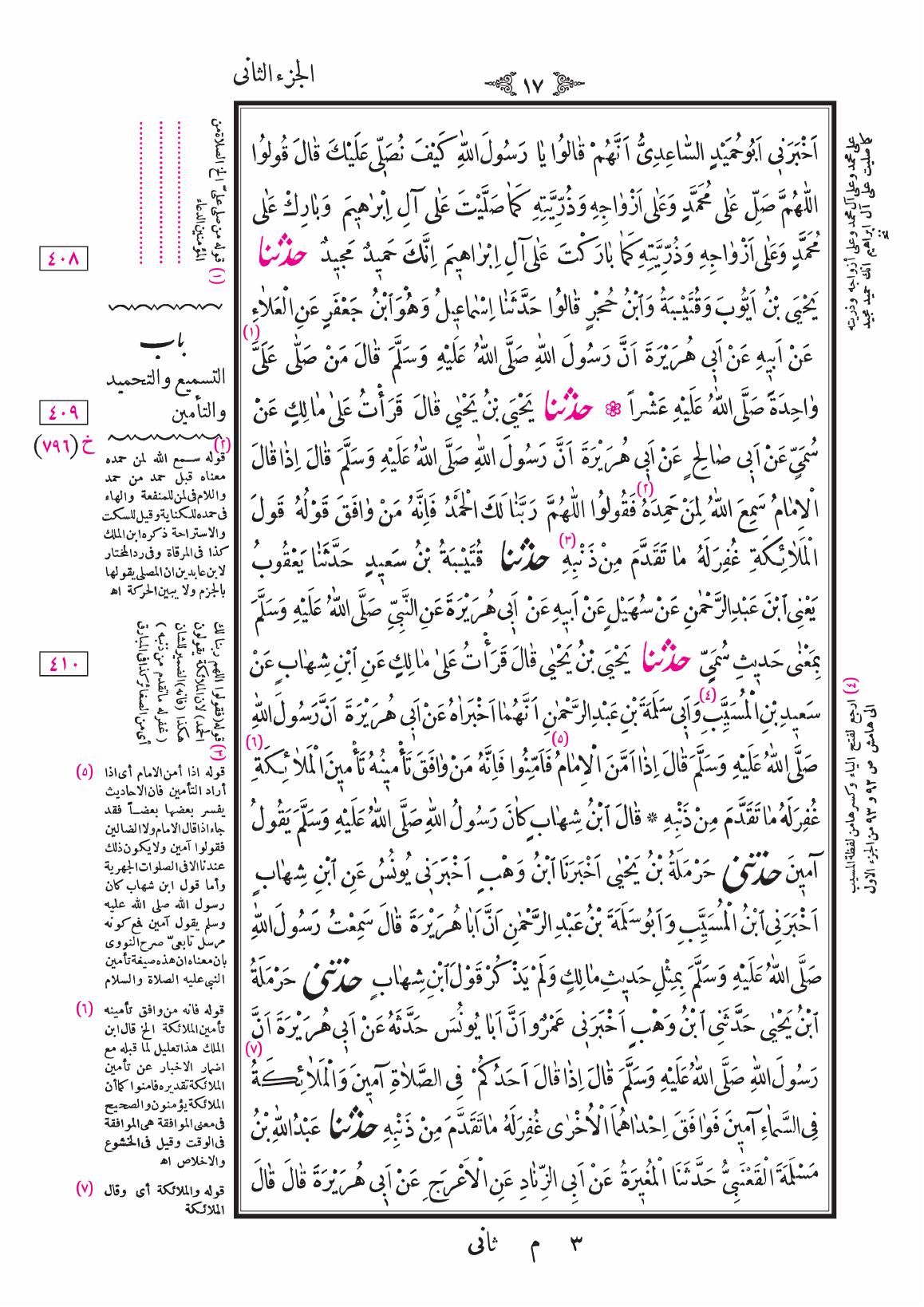 صفحة 17