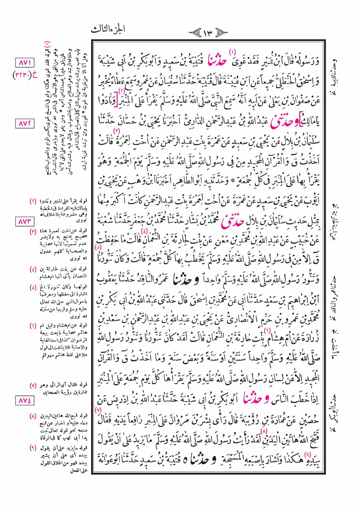 صفحة 13