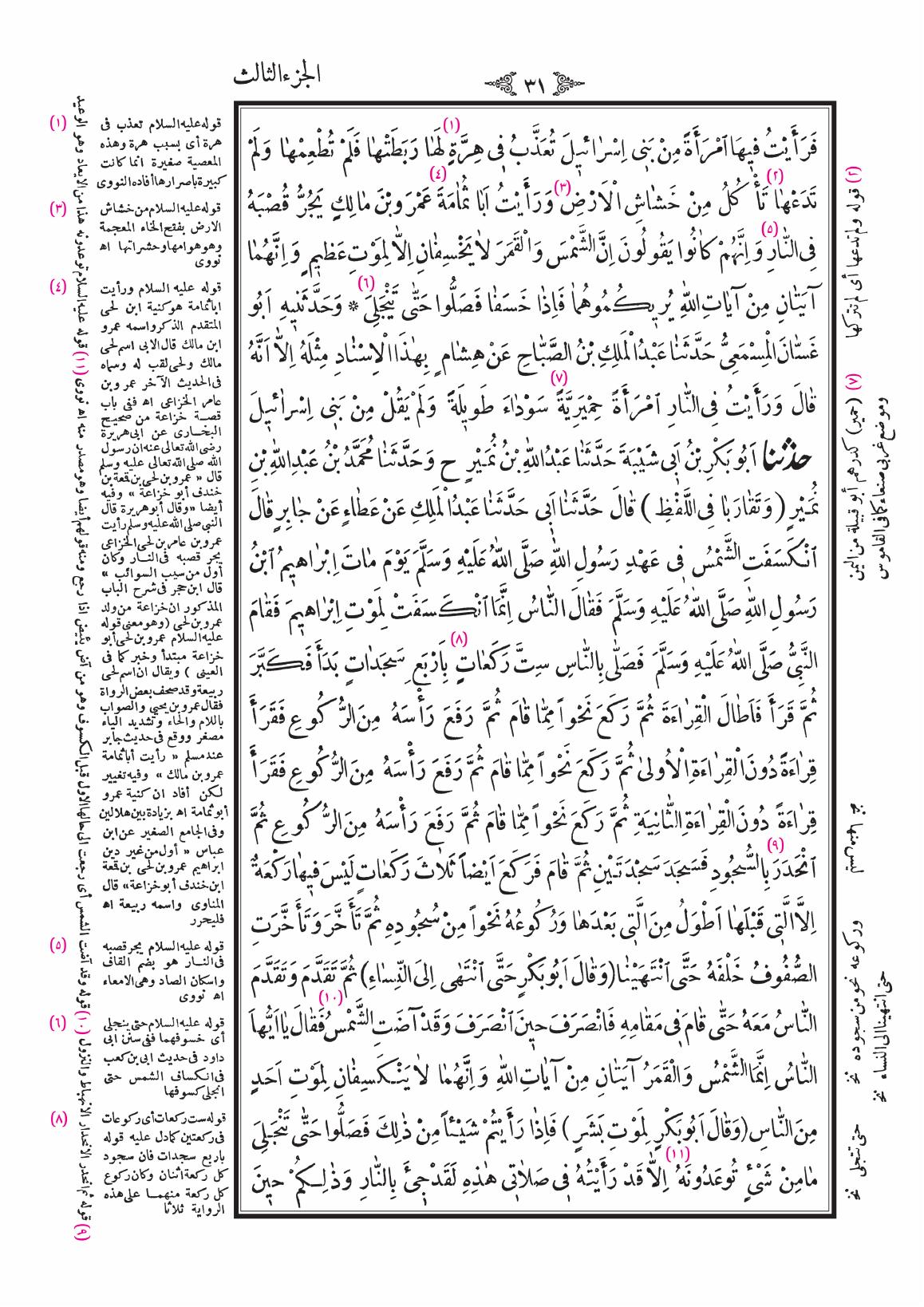 صفحة 31