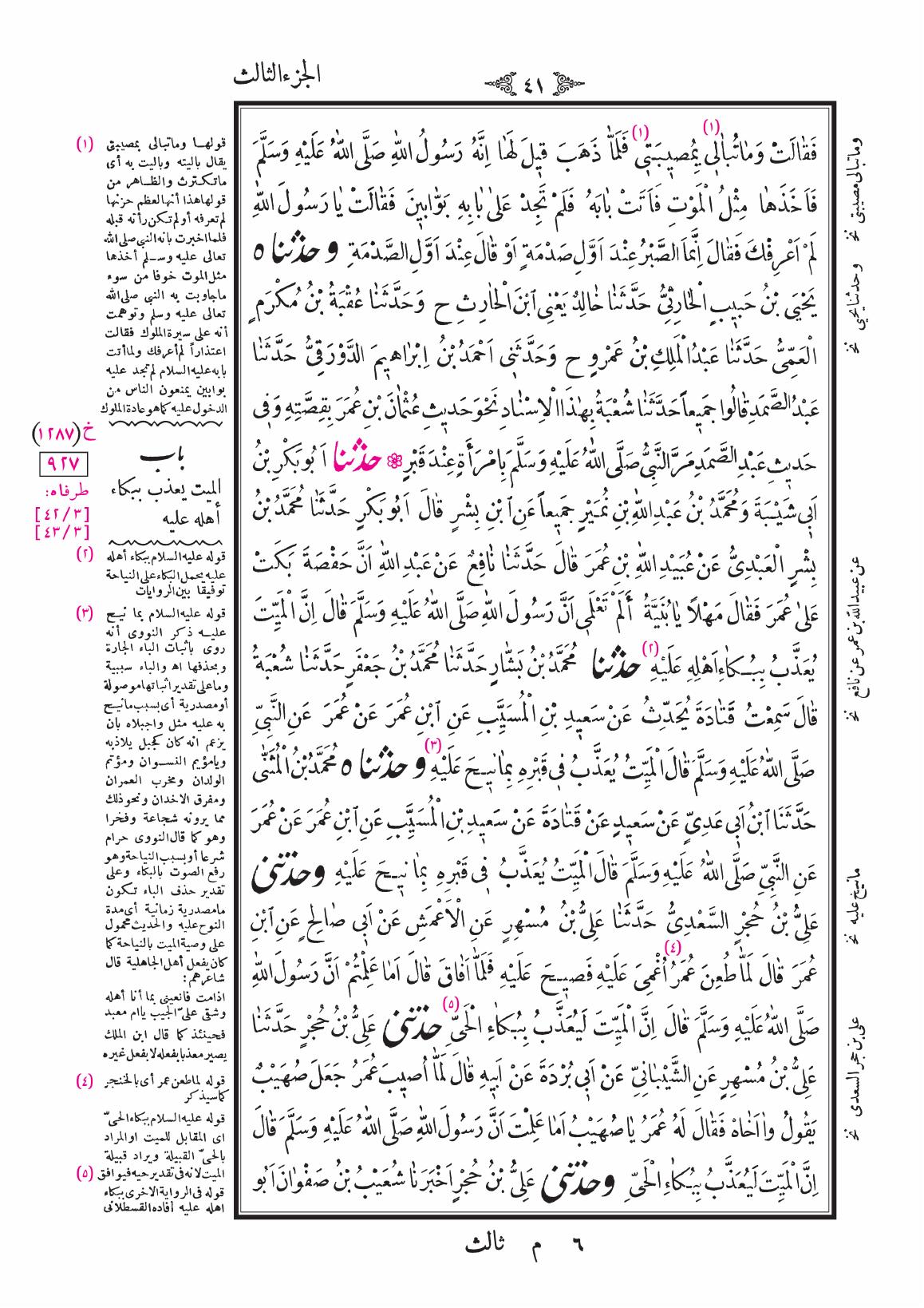 صفحة 41