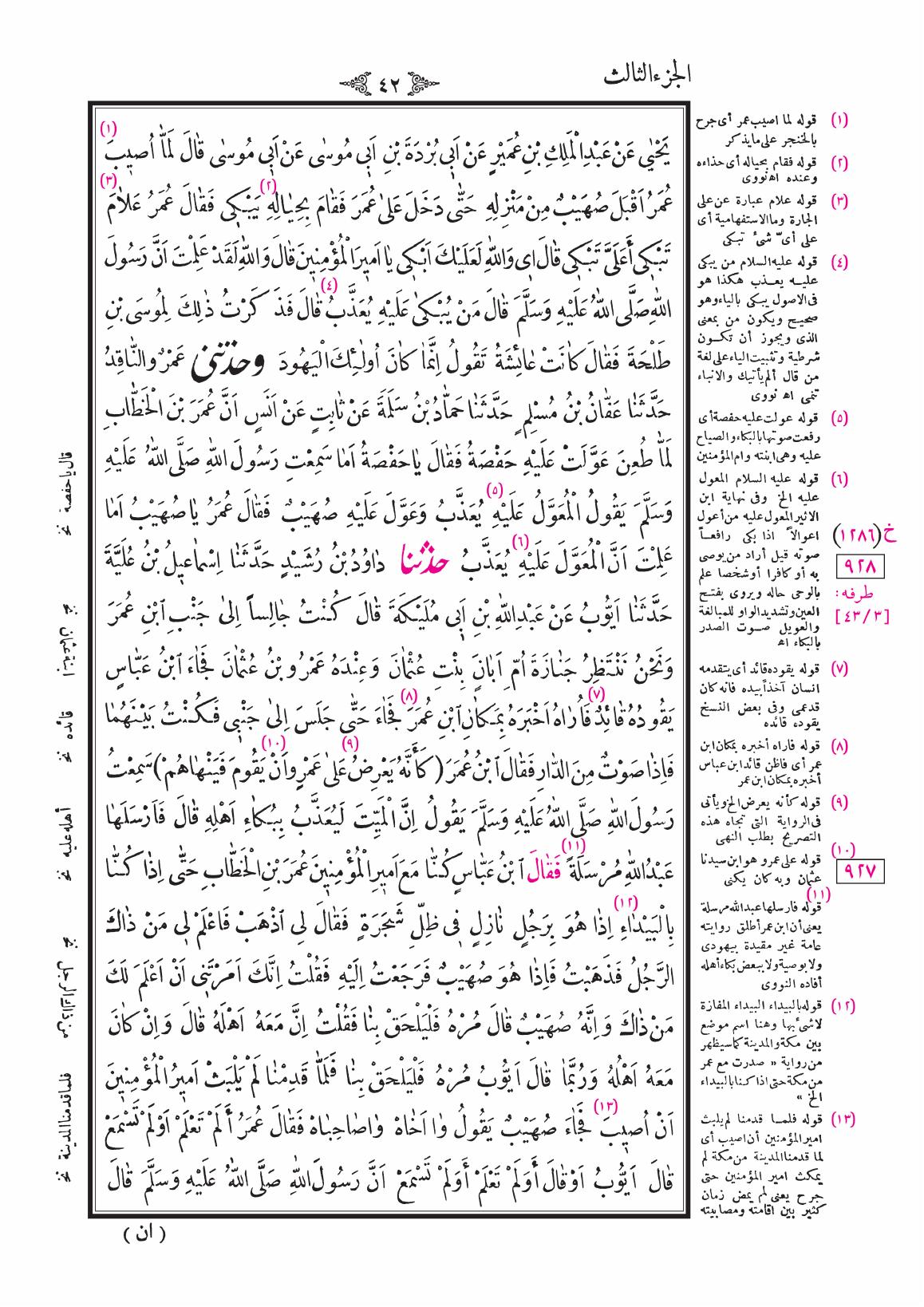 صفحة 42