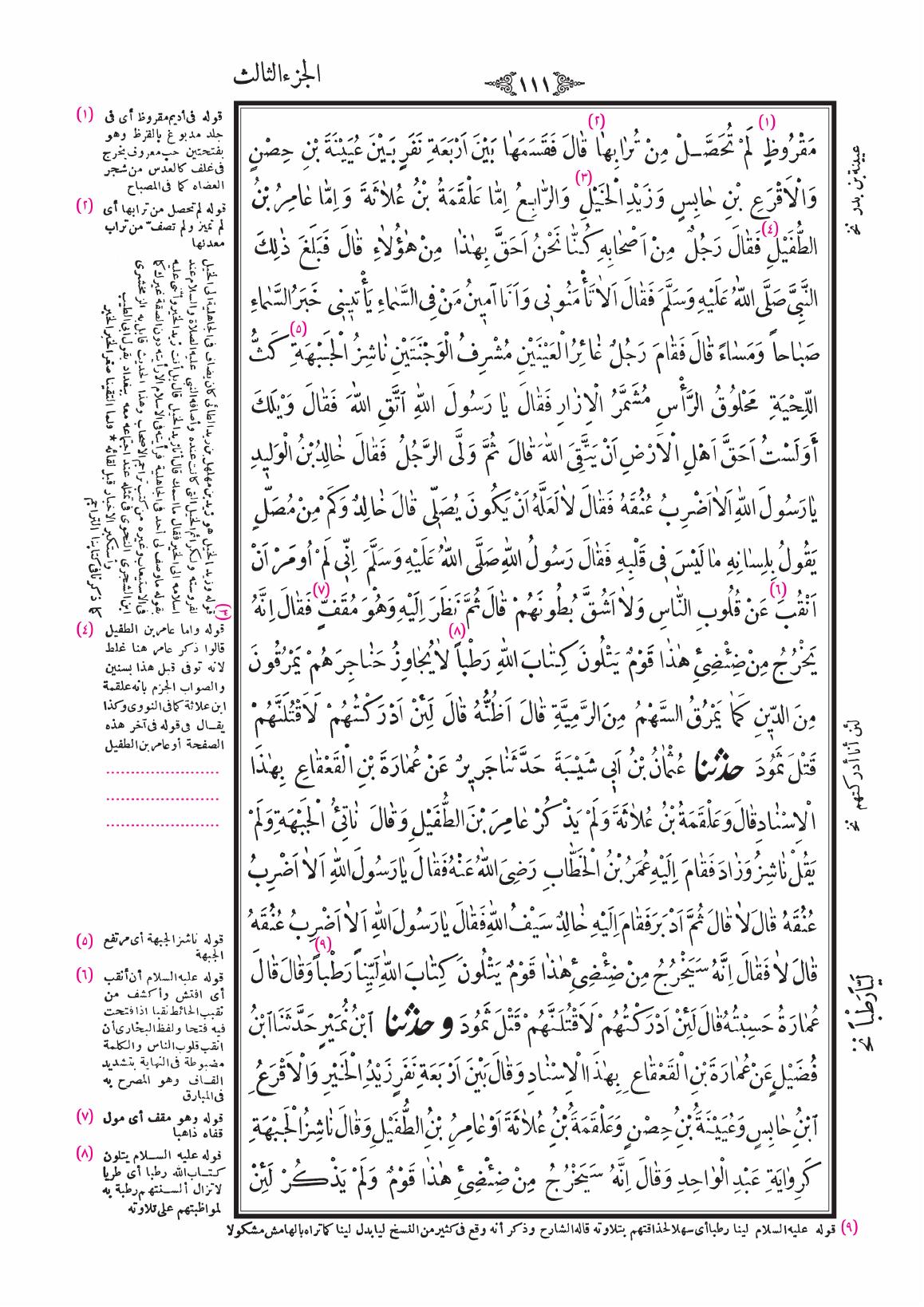 صفحة 111