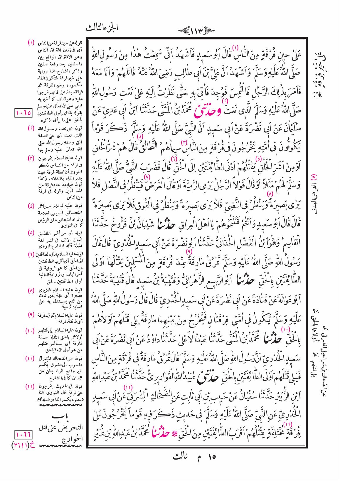 صفحة 113