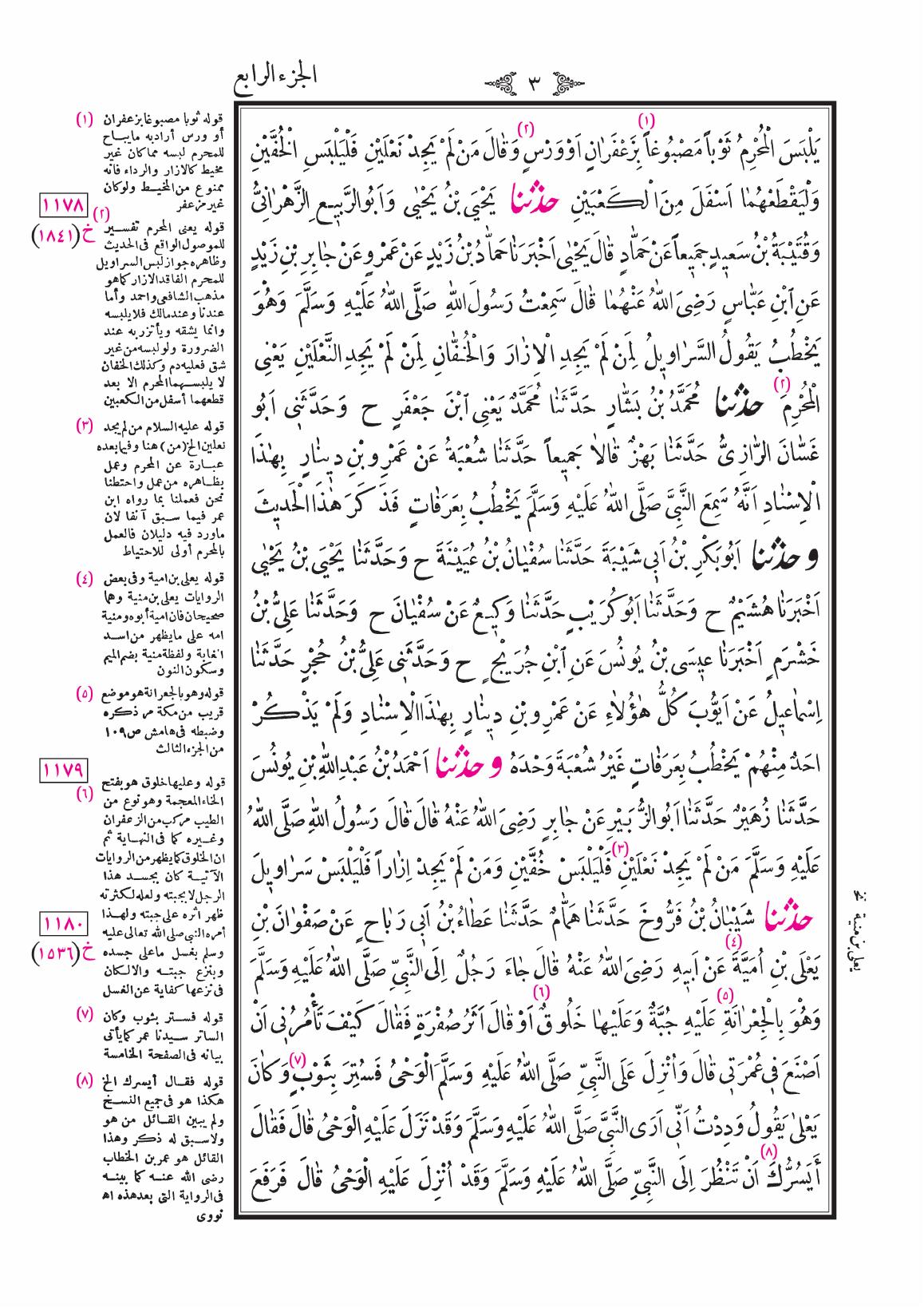 صفحة 3