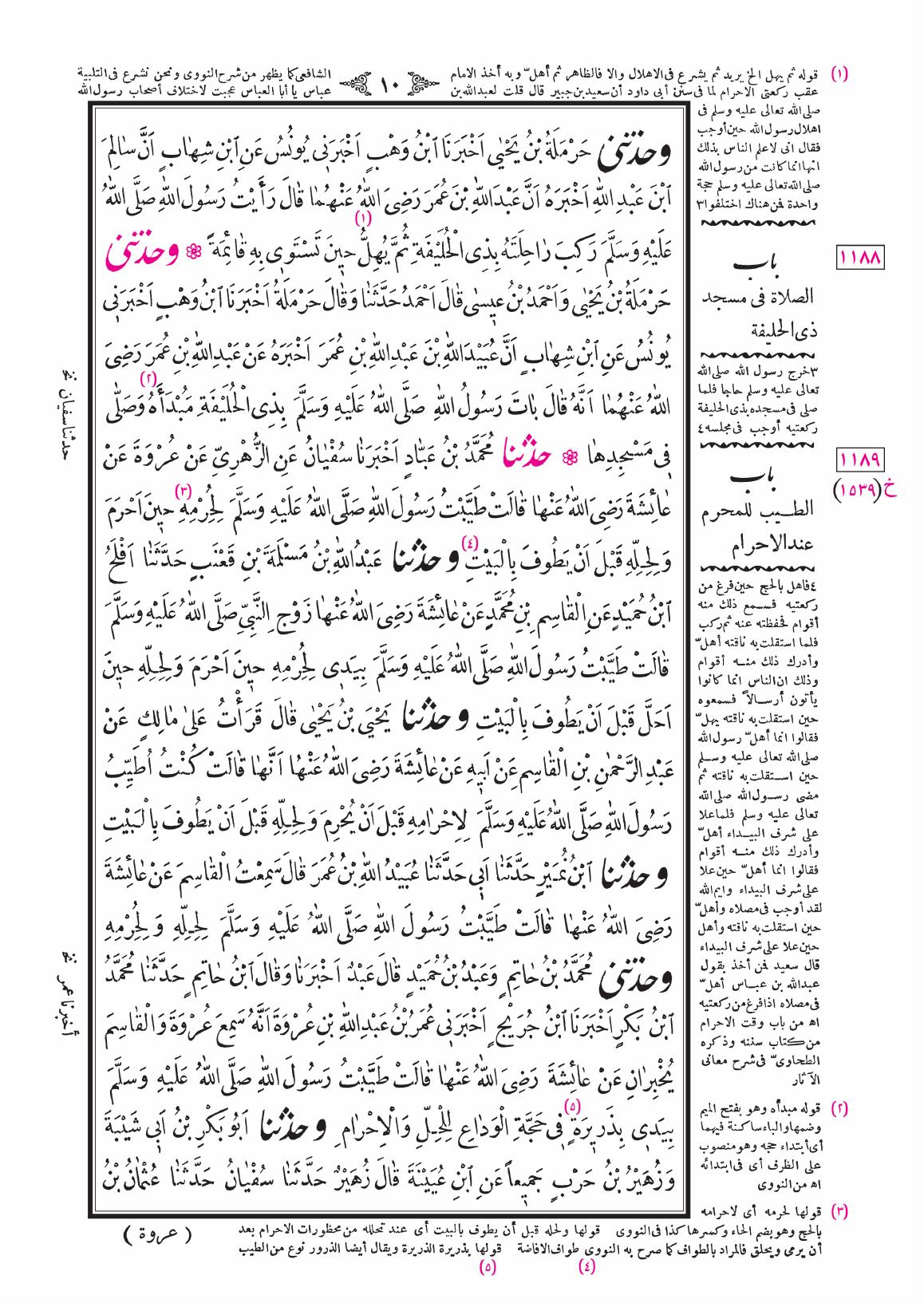 صفحة 10