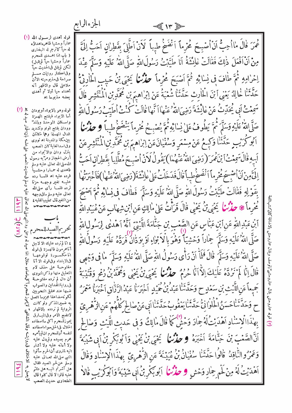صفحة 13