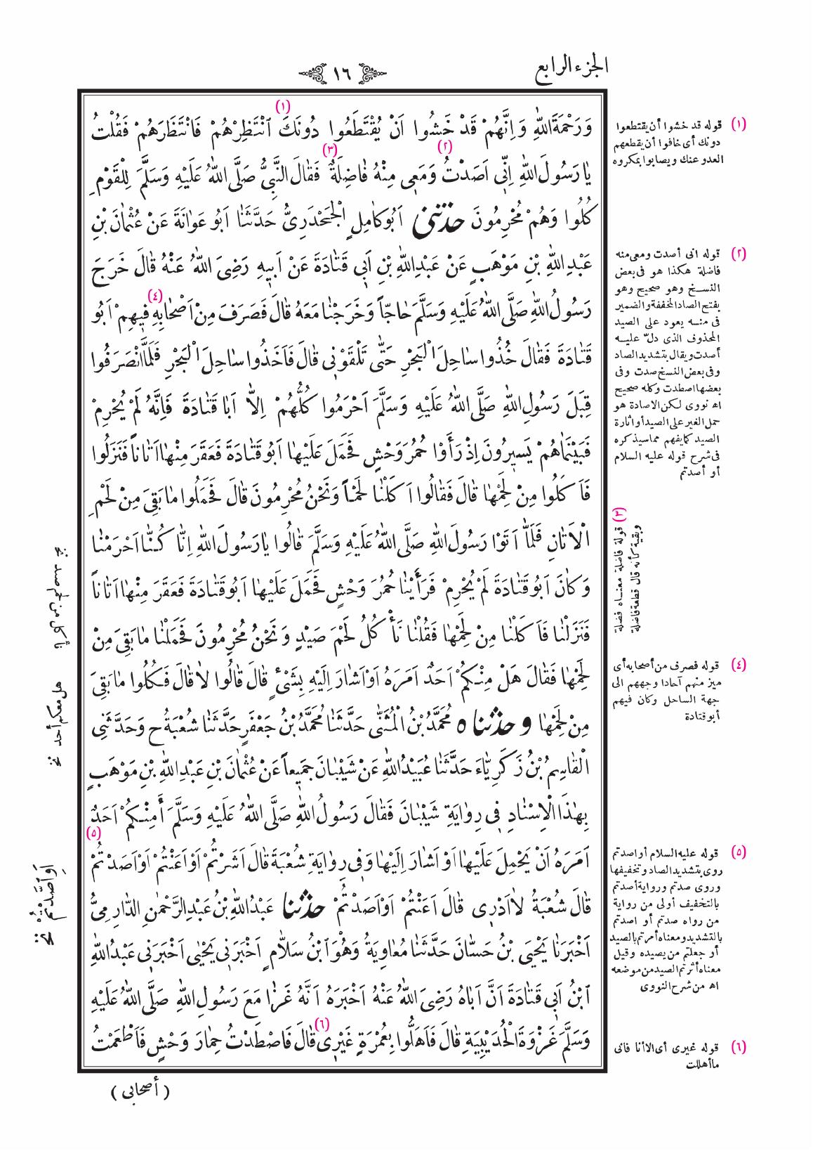 صفحة 16