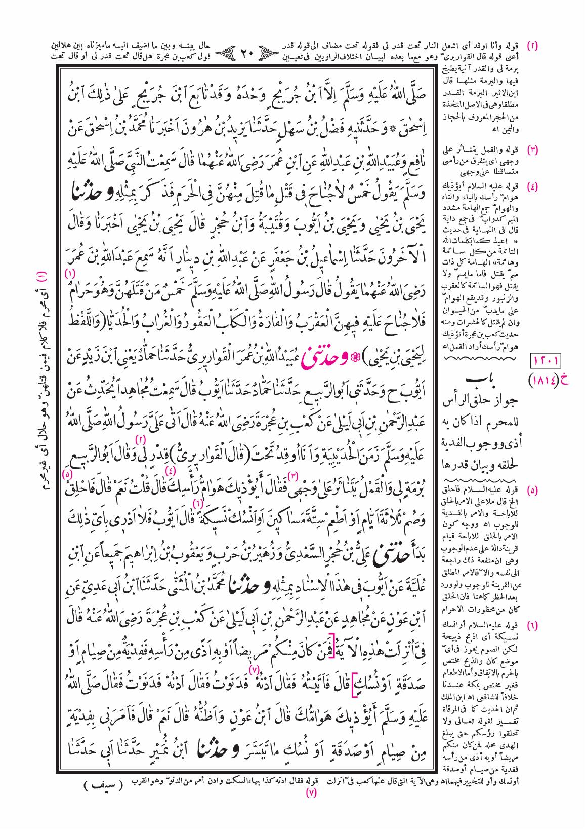 صفحة 20