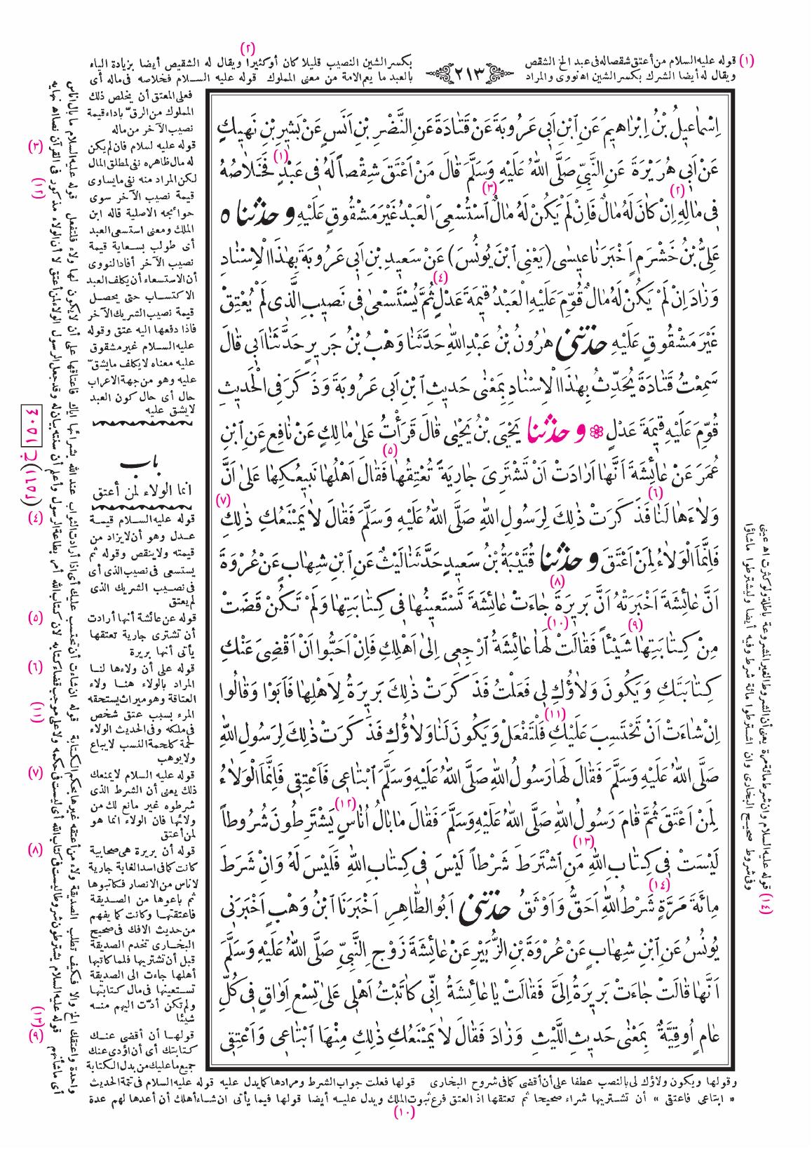 صفحة 213