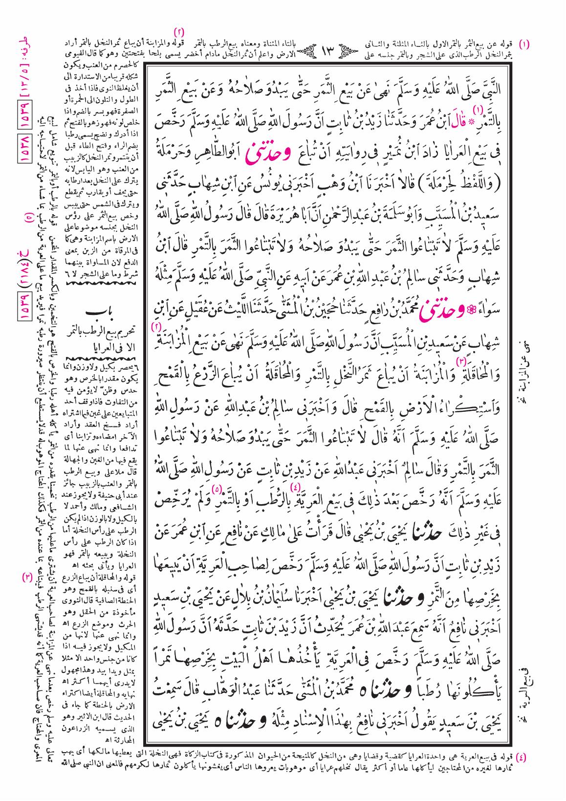 صفحة 13