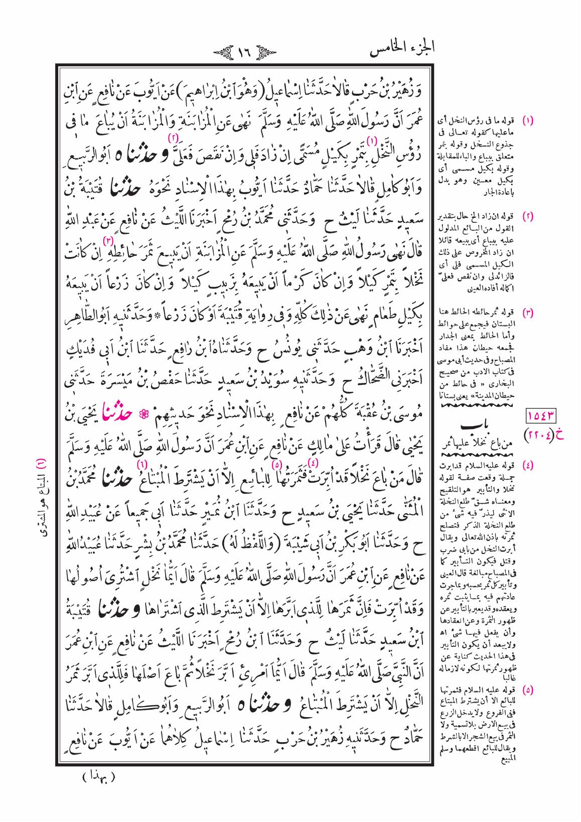صفحة 16