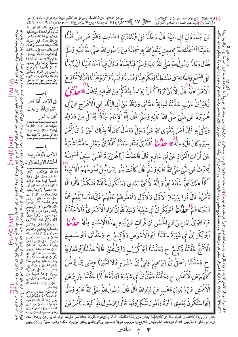 صفحة 17