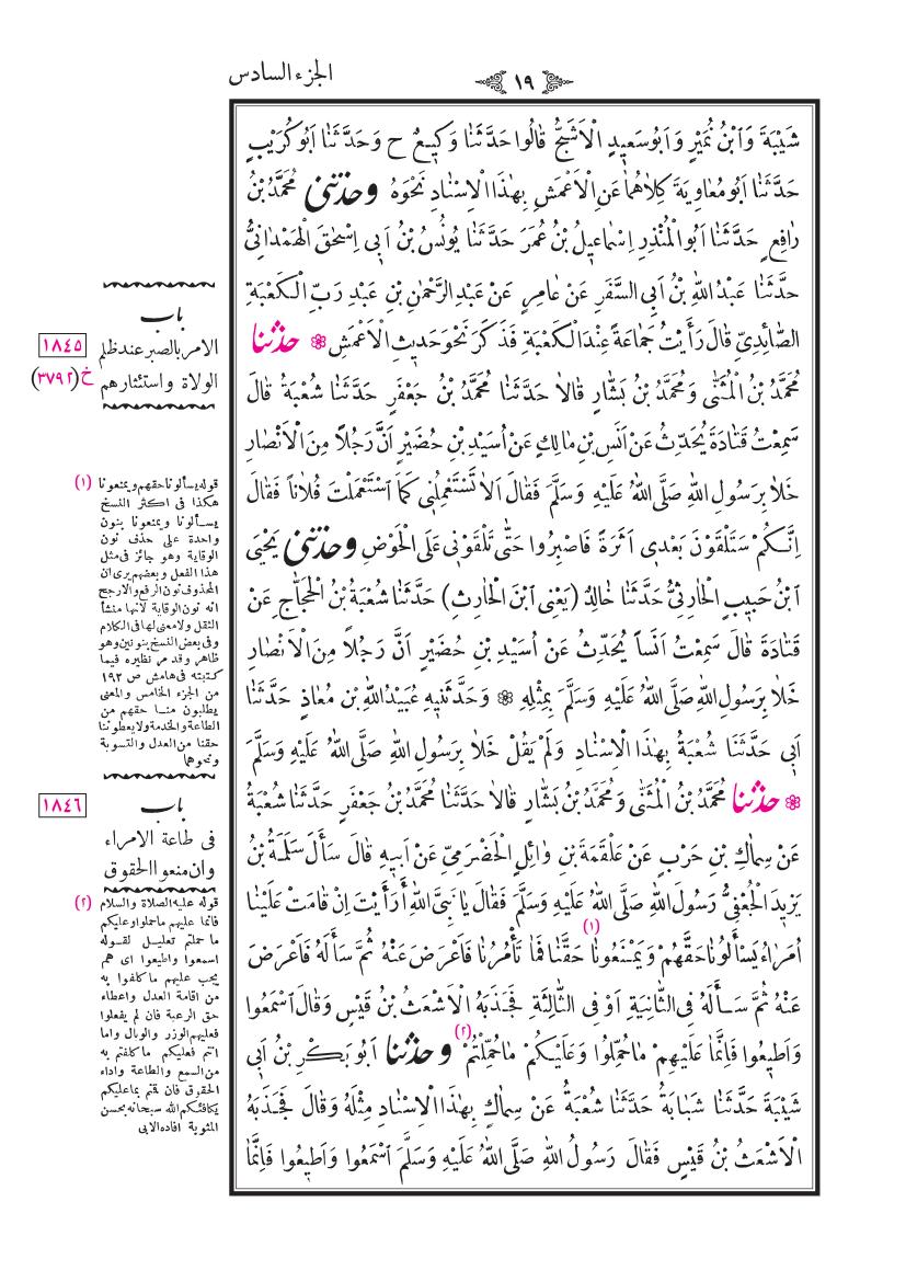 صفحة 19