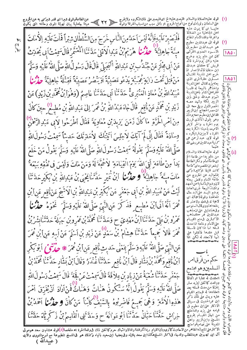 صفحة 22