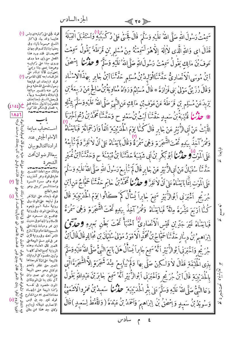 صفحة 25