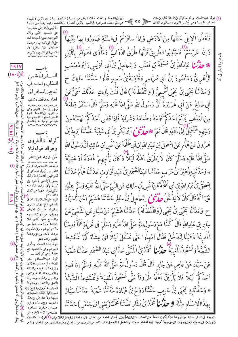 صفحة 55