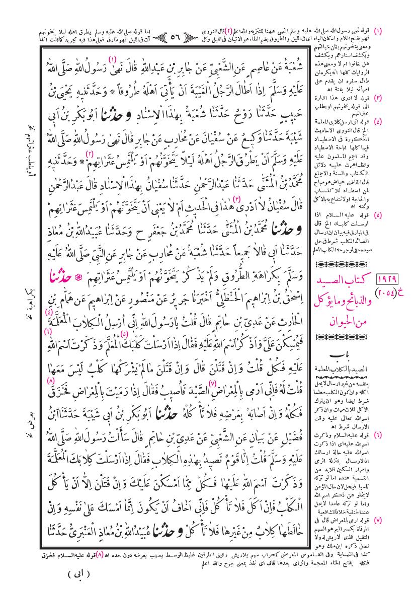 صفحة 56