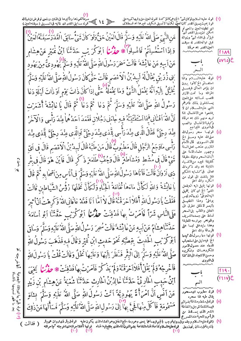 صفحة 14