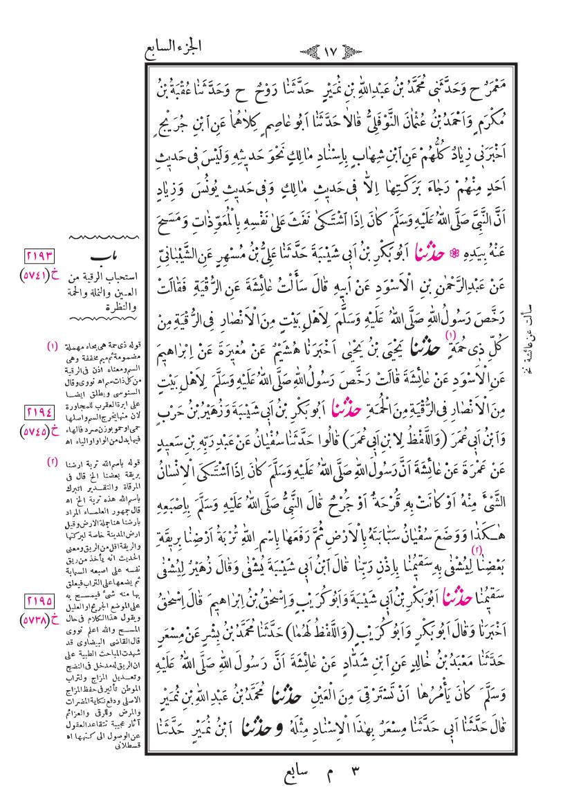 صفحة 17