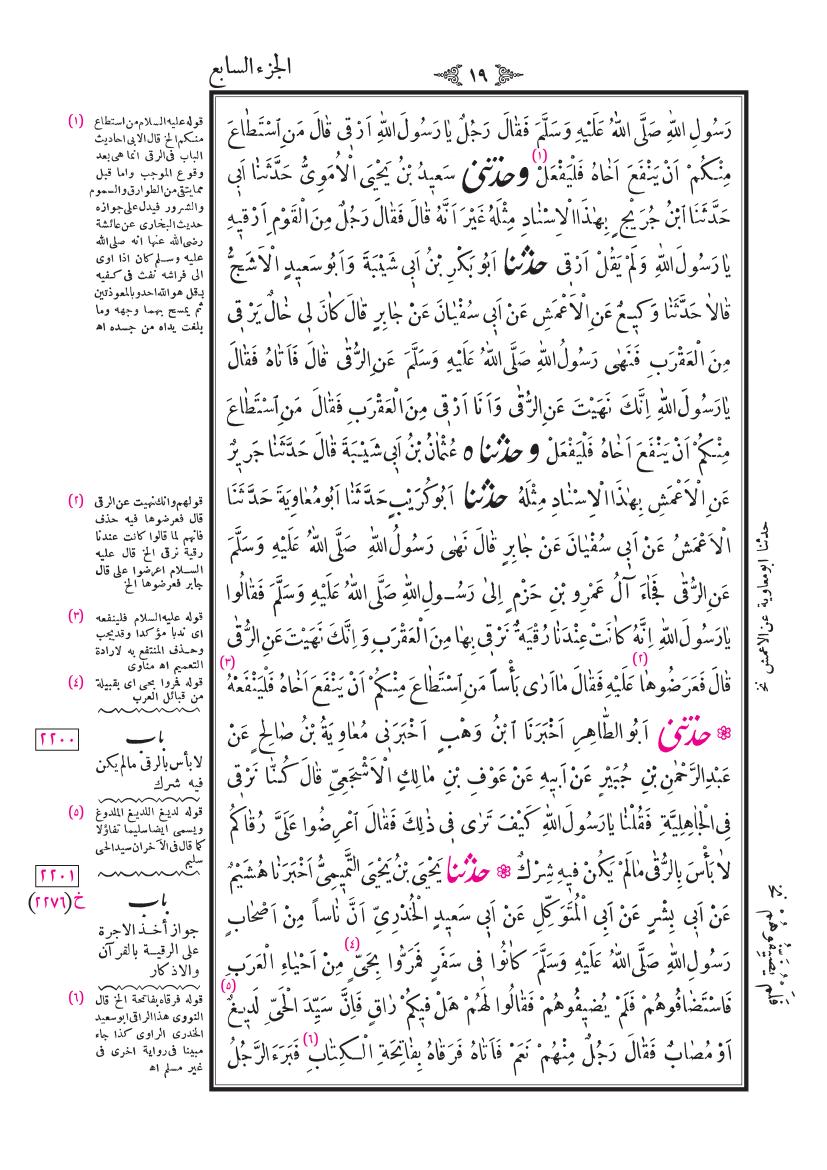 صفحة 19