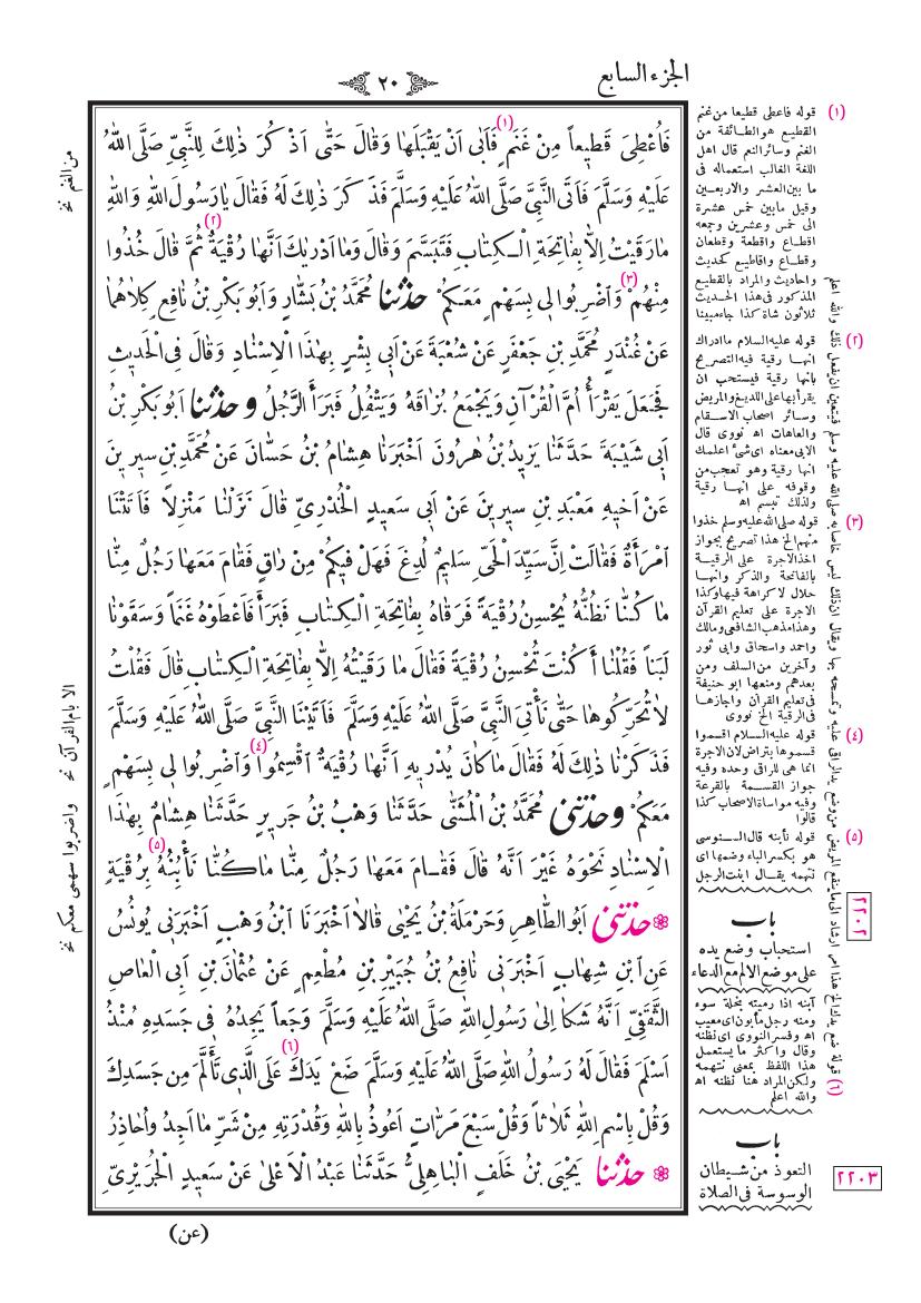 صفحة 20