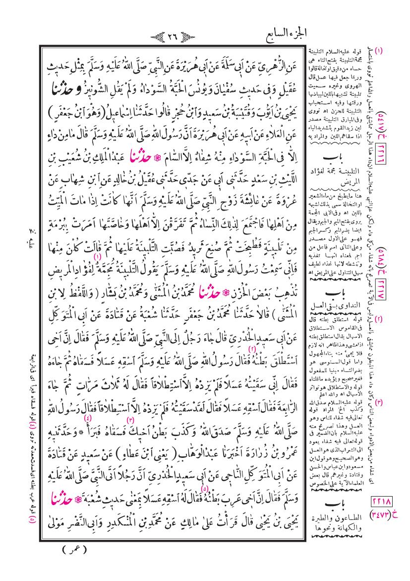صفحة 26