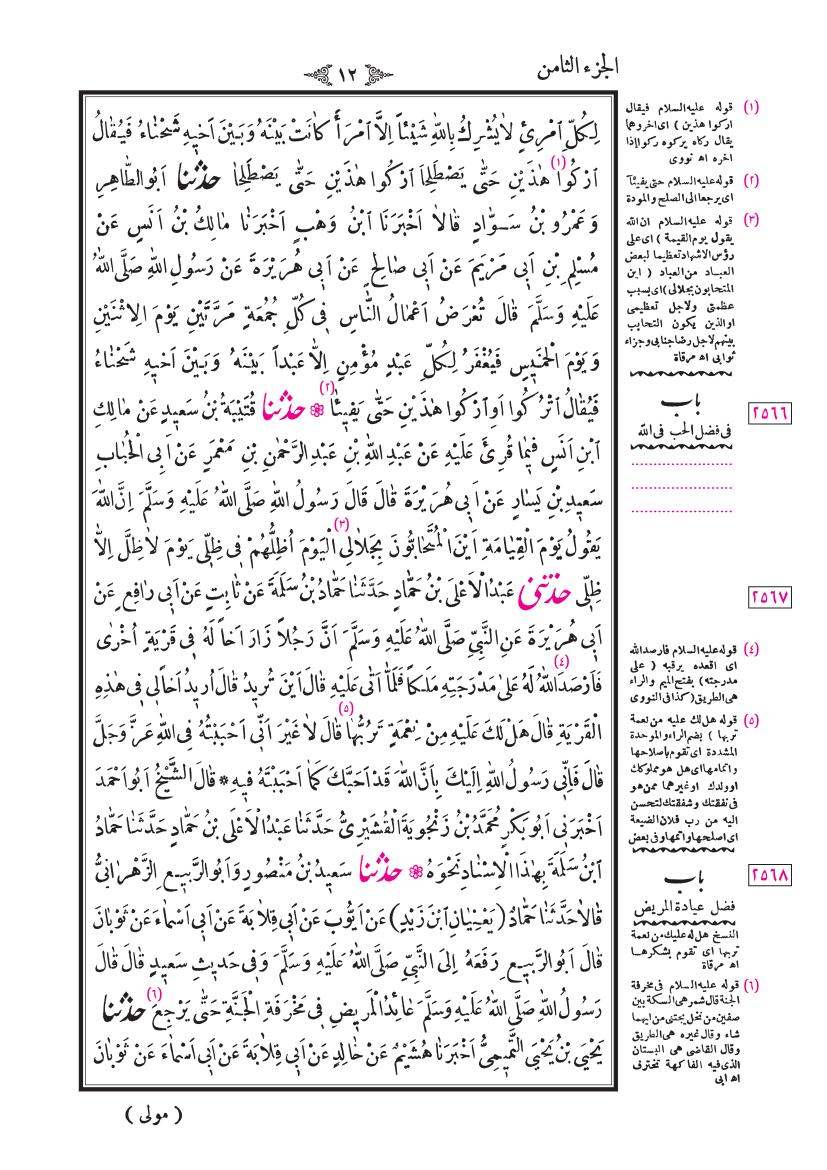 صفحة 12