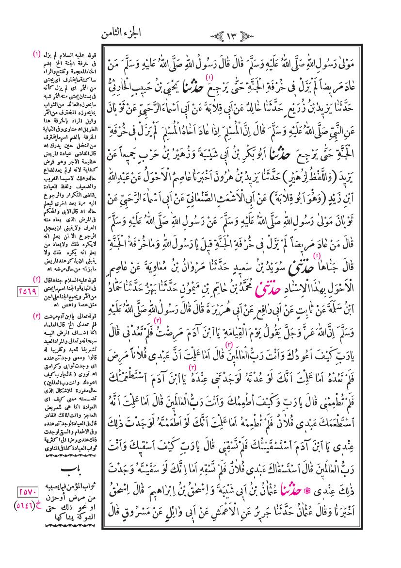 صفحة 13