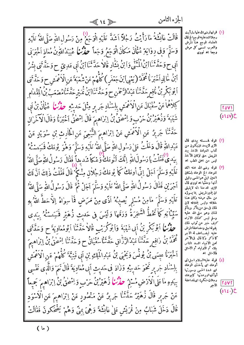 صفحة 14