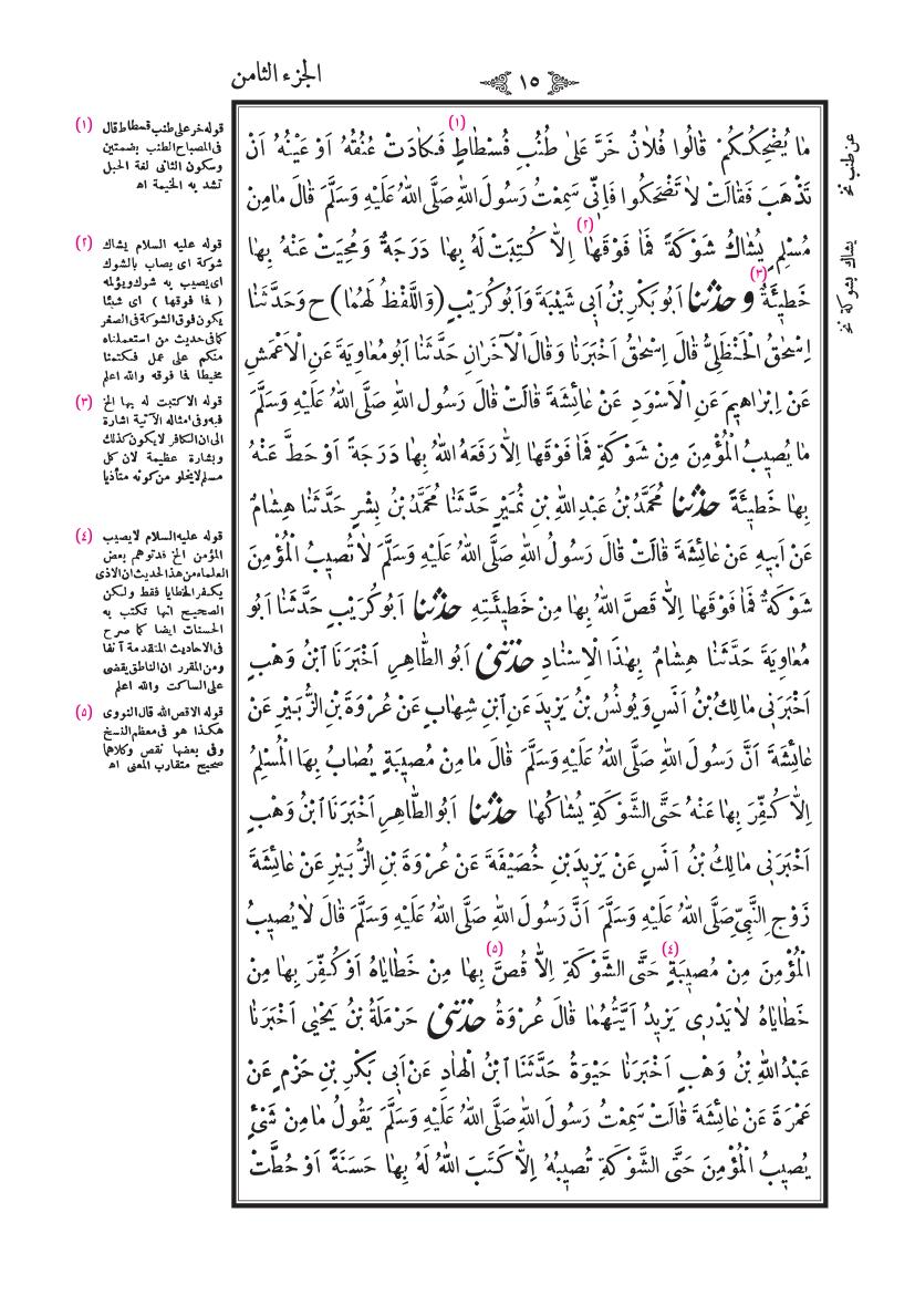 صفحة 15