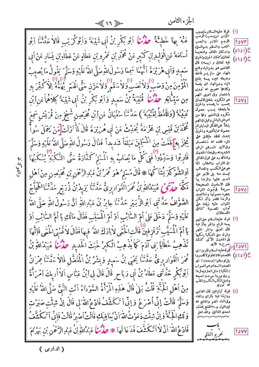 صفحة 16