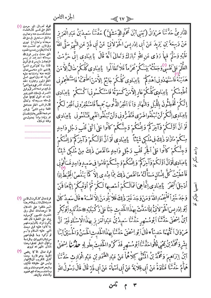 صفحة 17