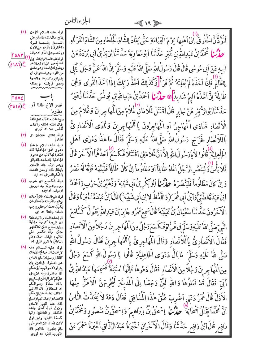صفحة 19
