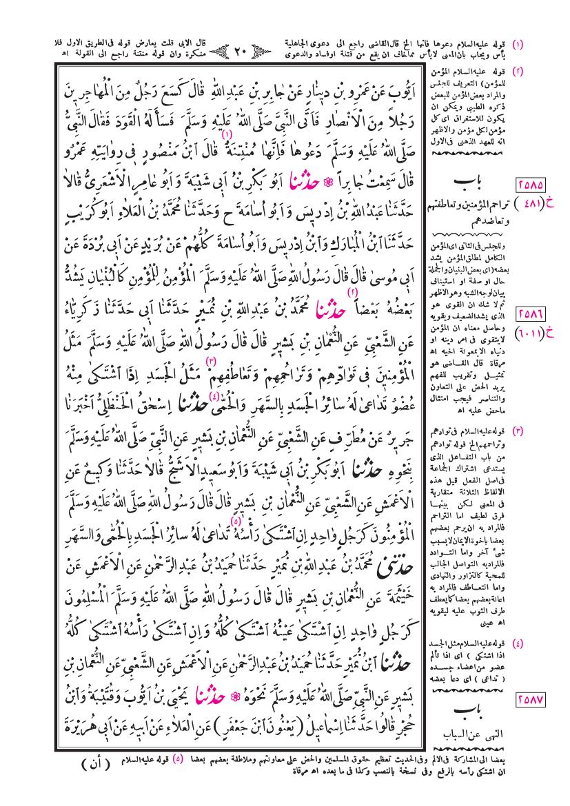 صفحة 20