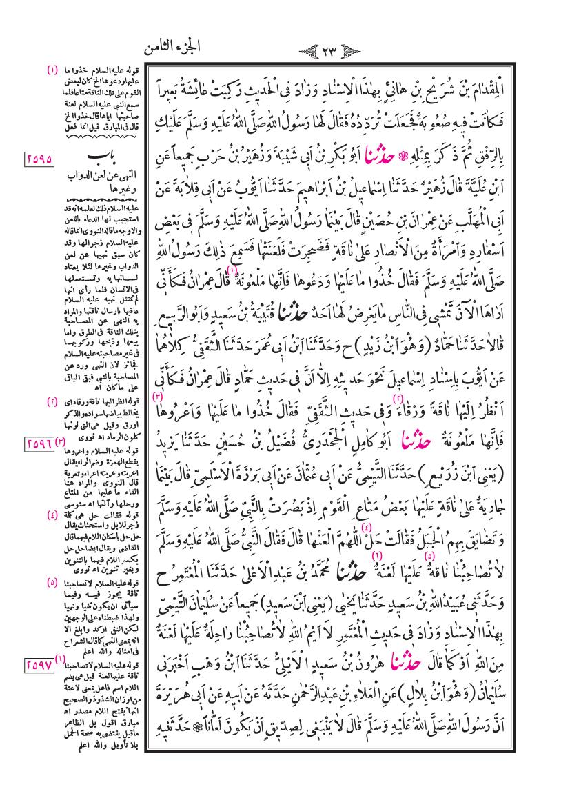 صفحة 23