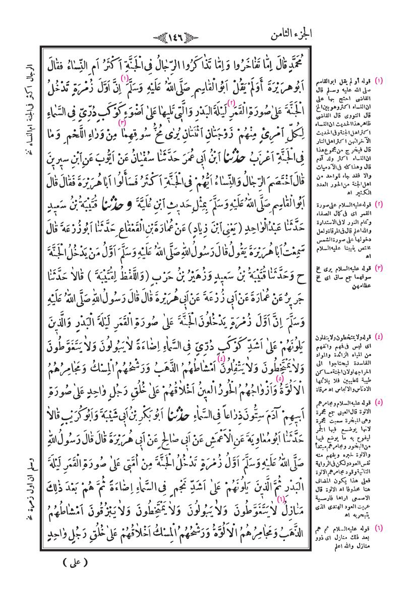 صفحة 146