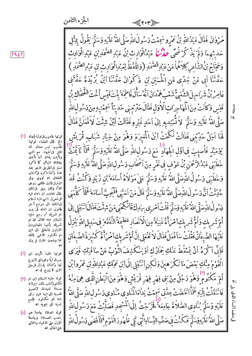 صفحة 203
