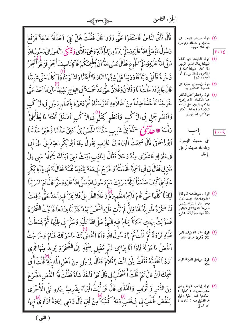 صفحة 236