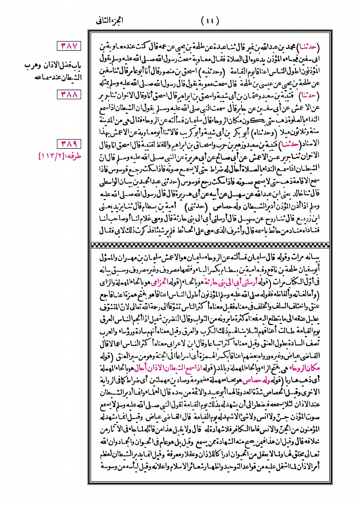 صفحة 11