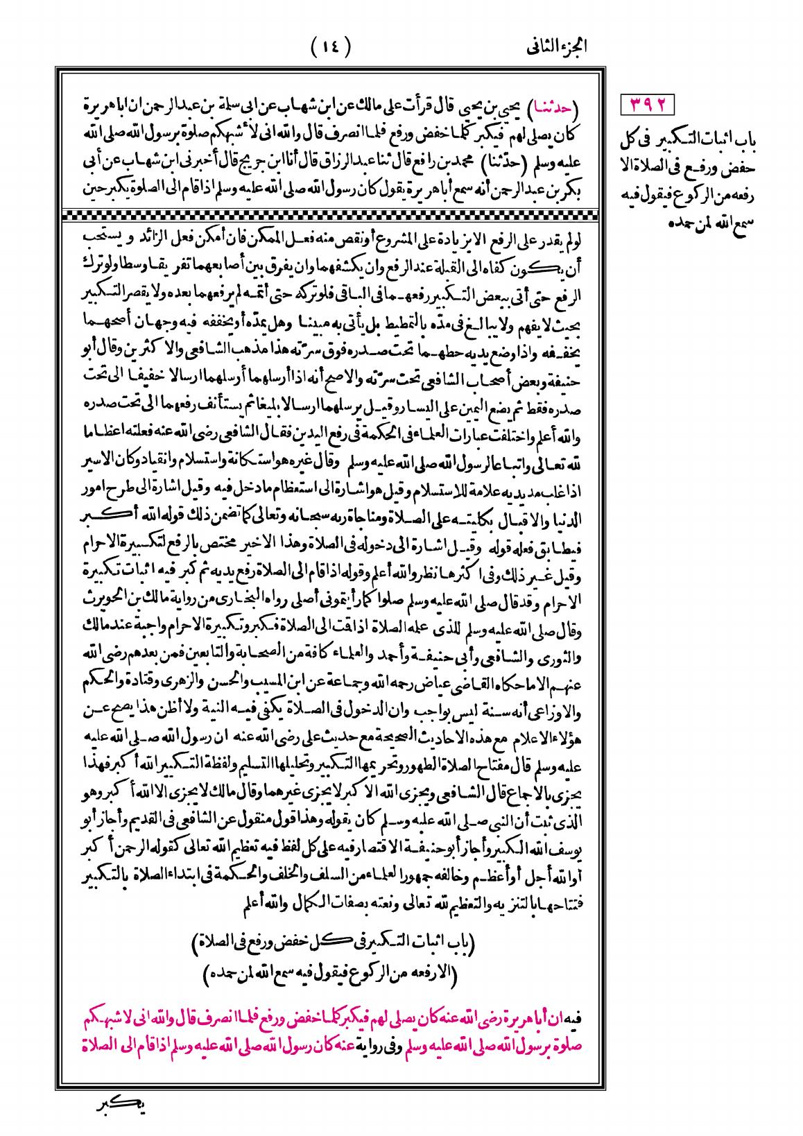 صفحة 14