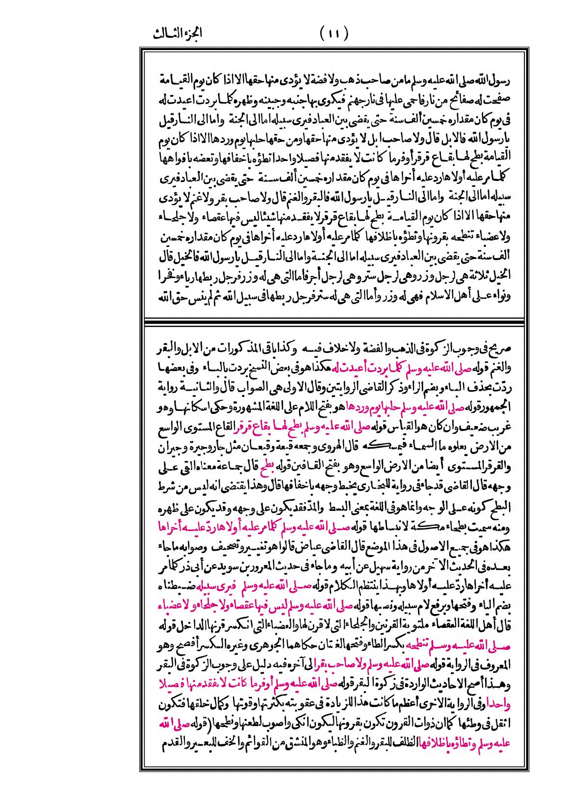 صفحة 11