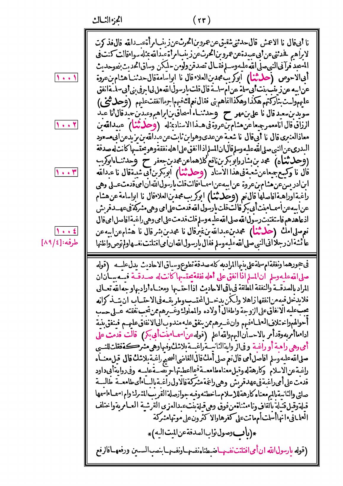 صفحة 23