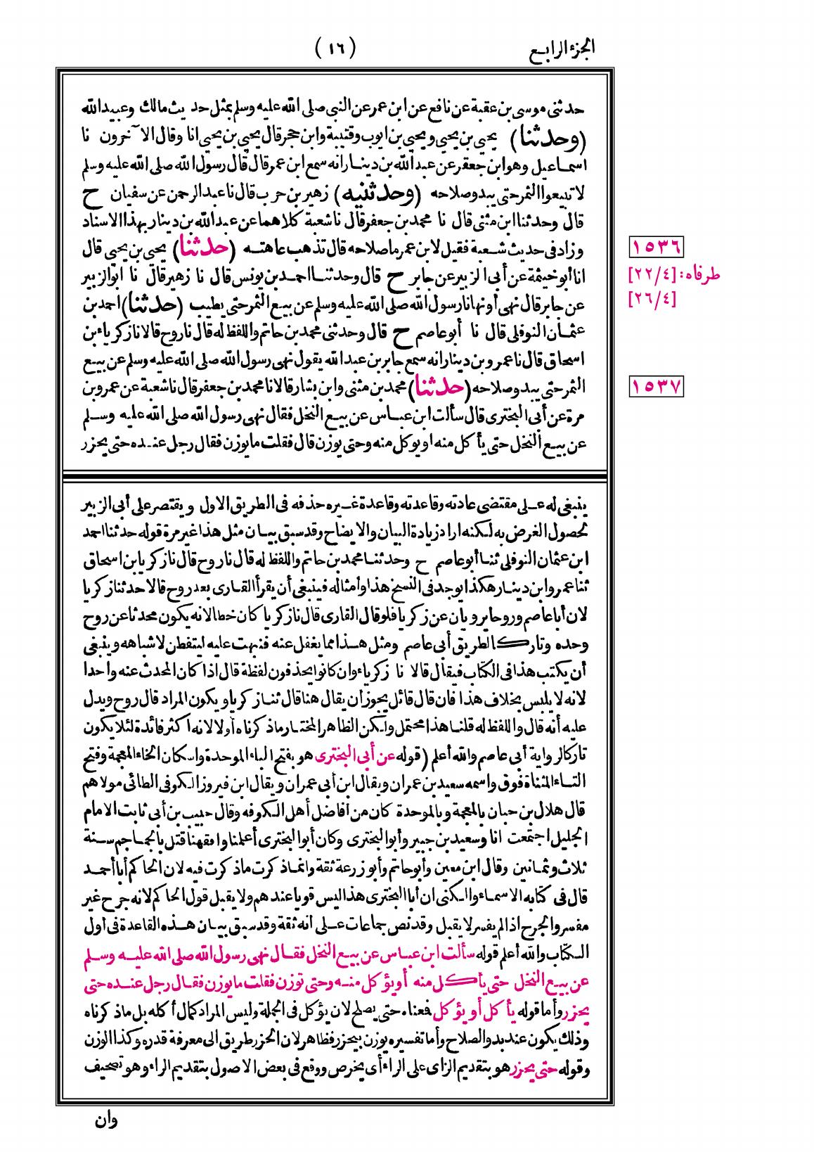 صفحة 16