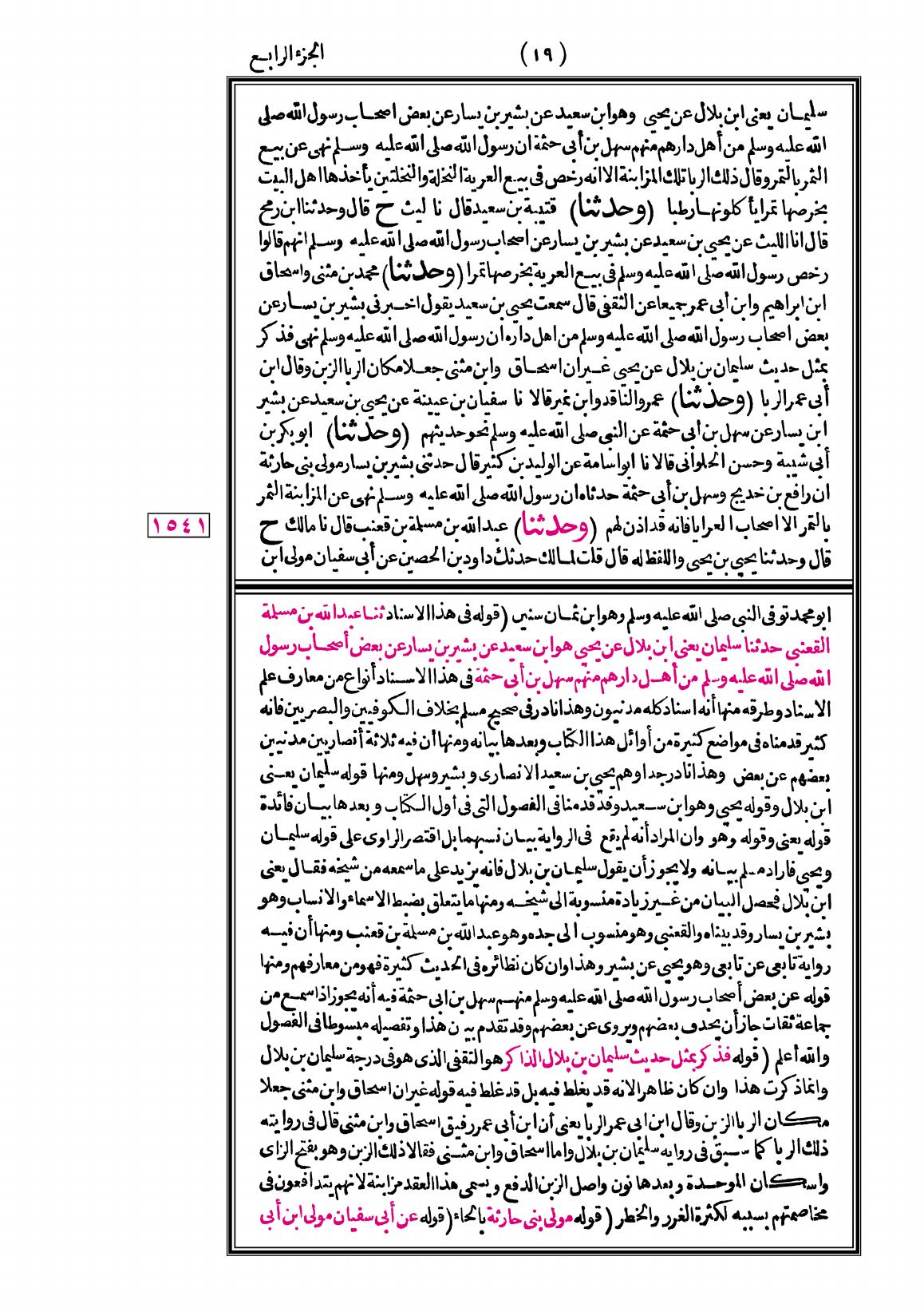 صفحة 19
