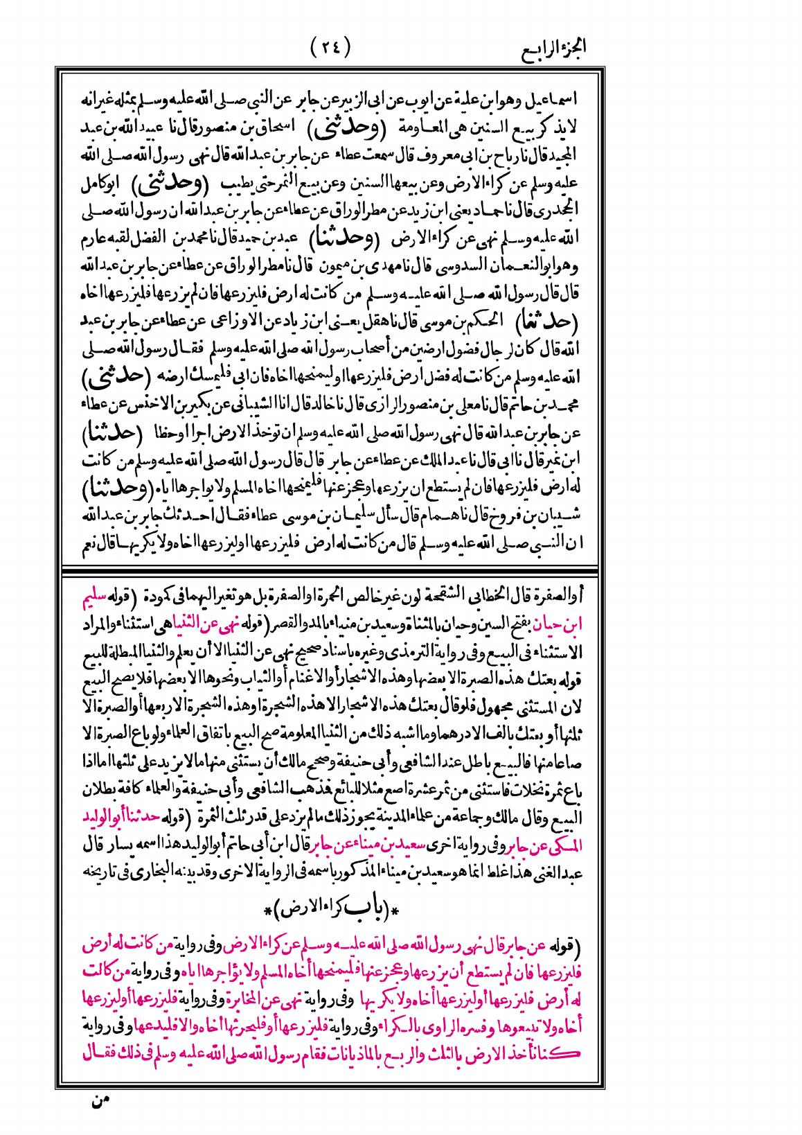 صفحة 24